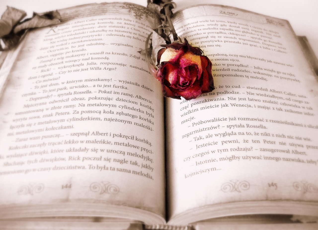 Aumente ou Almente: Qual o Certo Para Seu Texto? Descubra Já!