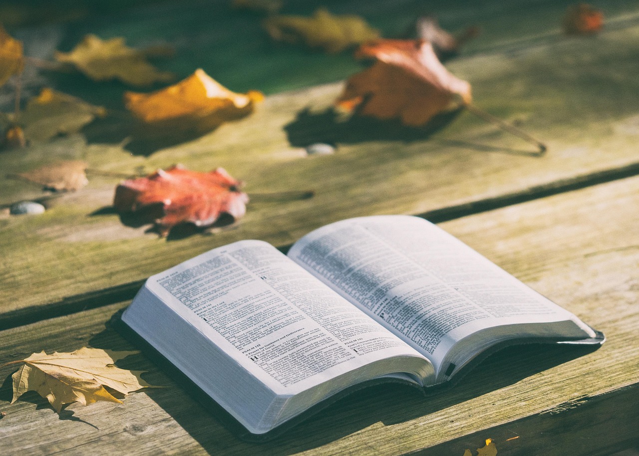 O Que a Igreja Presbiteriana Proíbe: Mitos e Verdades Revelados!