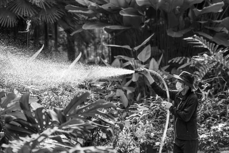 Quantos Quilos Perde com Sibutramina: Descubra a Média Real!